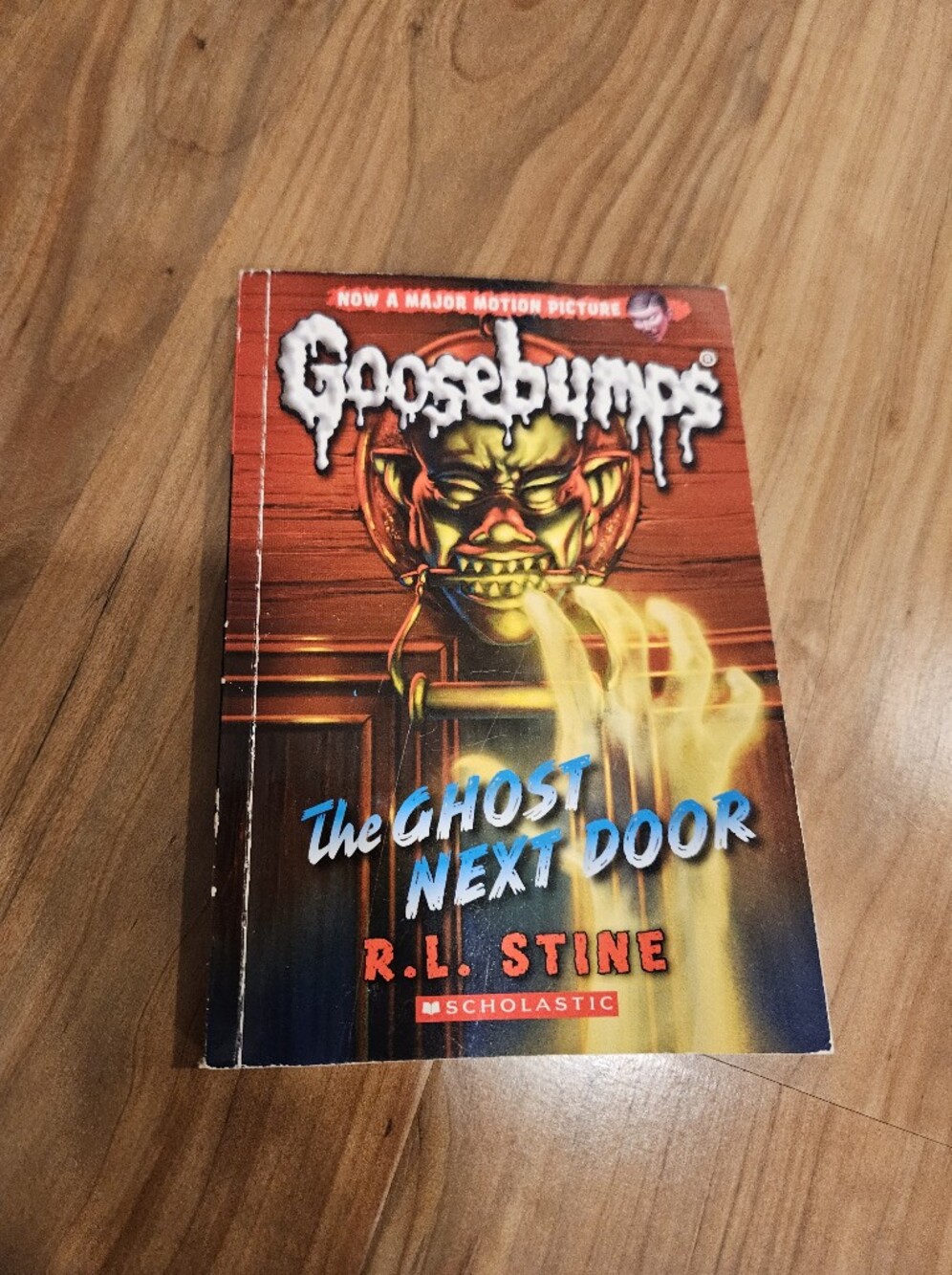 Goosebumps The Ghost Next Store Book